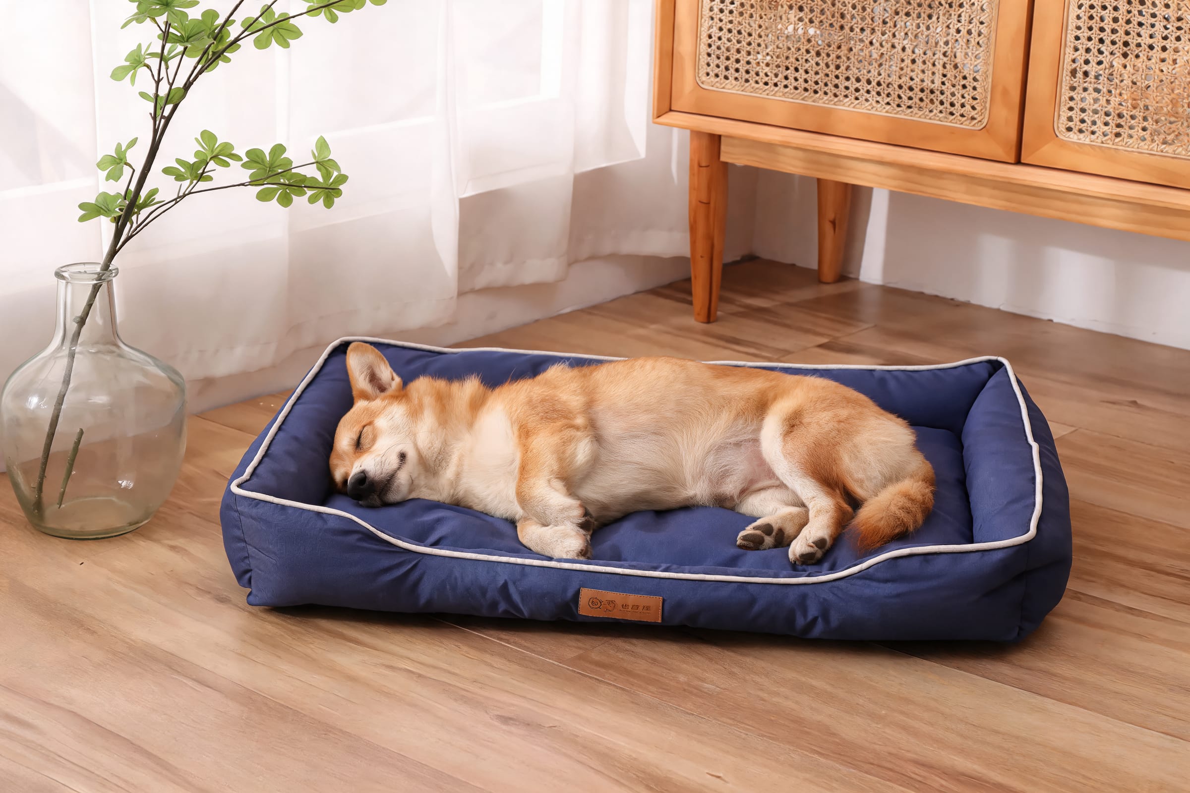 The bed your dog actually sleeps in.